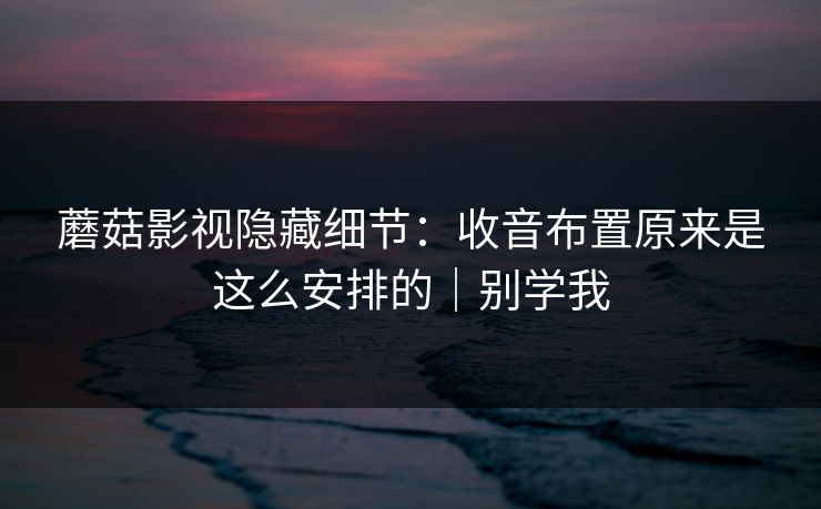蘑菇影视隐藏细节：收音布置原来是这么安排的｜别学我
